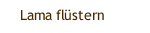 Lama flüstern