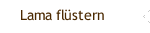 Lama flüstern